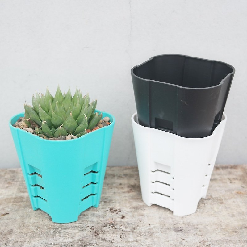 Peas succulents and small groceries-supplies-patented ventilating basin-a set of 4 - Plants - Plastic 