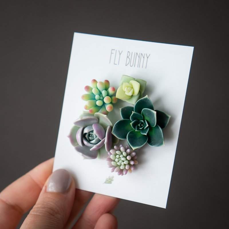 Succulent brooch set Chiffchaff - 胸針 - 其他材質 多色