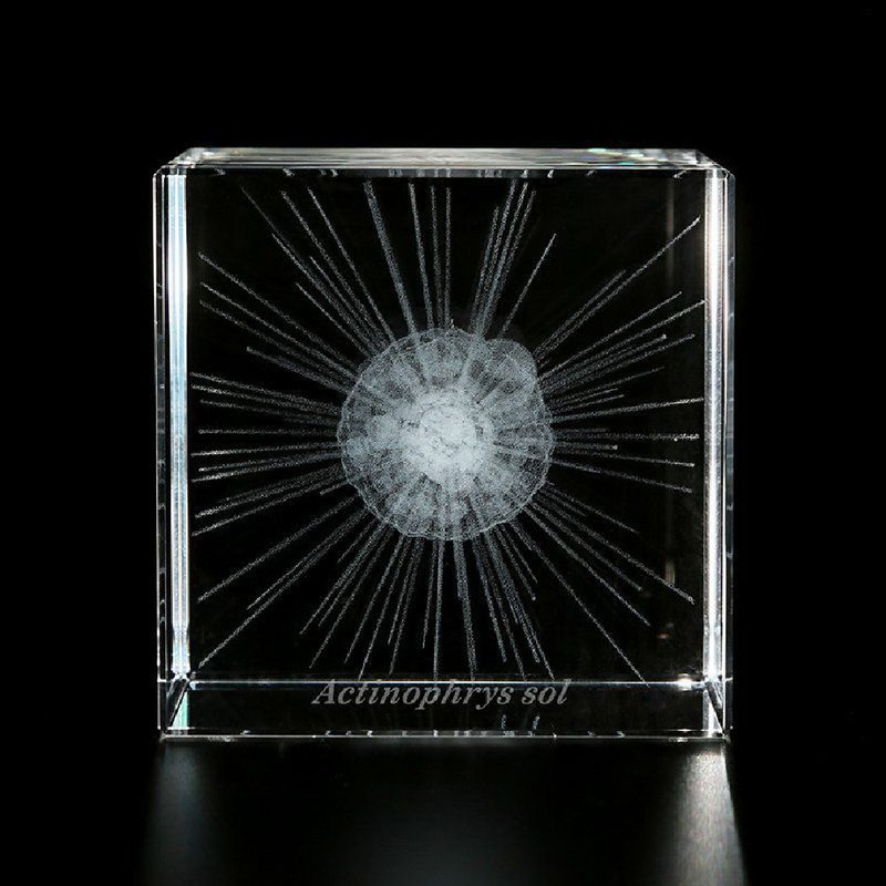 Sola cube Micro laser engraving microbial cube sunworm - Items for Display - Other Materials Transparent