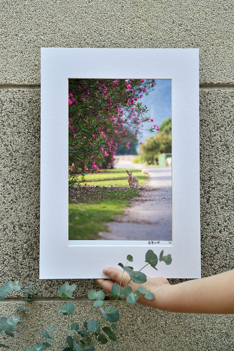 Original limited edition rabbit photography art-beautiful scenery - Items for Display - Paper Pink