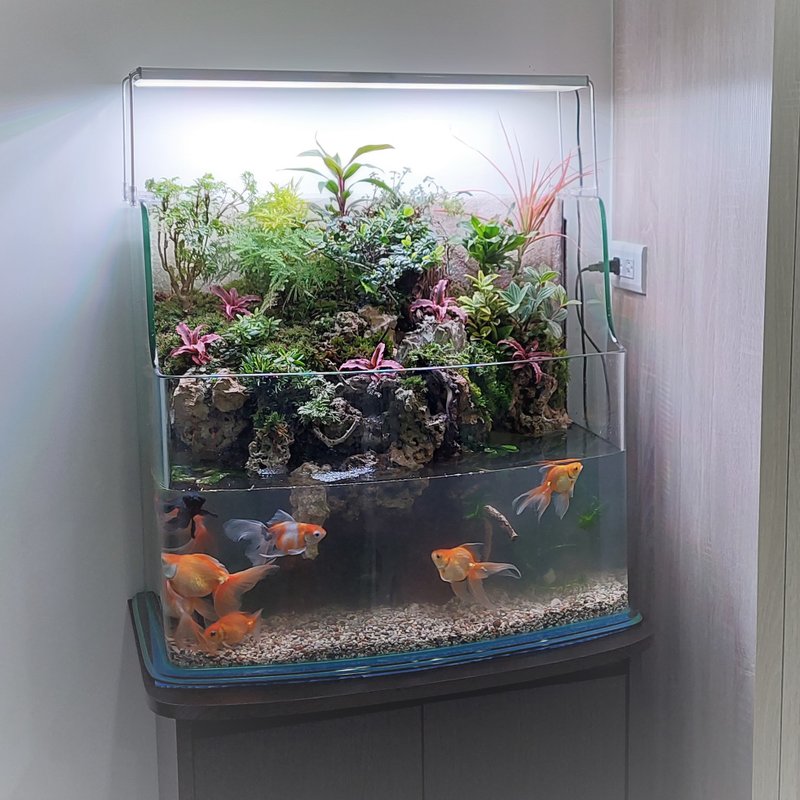 開運生態造景魚缸 AA-60海灣ㄇ型     居家風水、最佳選擇 - 盆栽/植栽 - 玻璃 