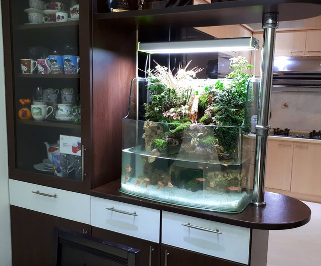 Kaiyun 生態造園水槽 AA-60 湾ㄇ型家風水、最良の選択