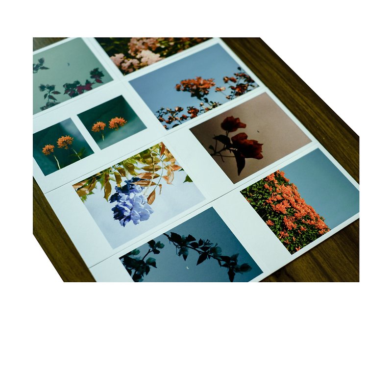 Photo Postcard of the Greenhouse Owner - Kazuki - Cards & Postcards - Paper Multicolor
