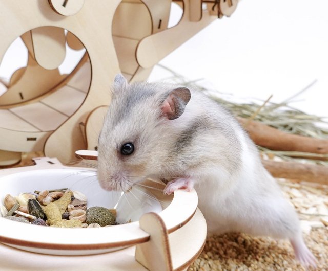 Hamster roller cheap