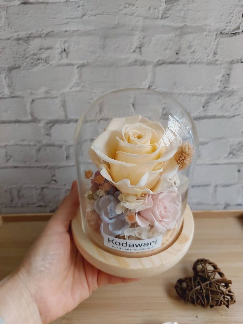 香檳 永生花玻璃罩.花盅 祝賀花禮 生日.情人節.母親節.畢業 - 乾燥花/永生花 - 植物．花 
