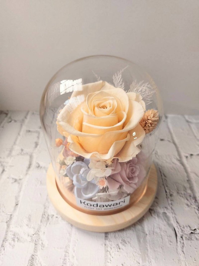 香檳 永生花玻璃罩.花盅 祝賀花禮 生日.情人節.母親節.畢業 - 乾燥花/永生花 - 植物．花 