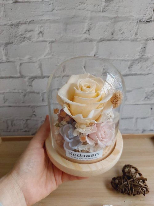 Kodawari Plant Art Workshop 香檳 永生花玻璃罩.花盅 祝賀花禮 生日.情人節.母親節.畢業
