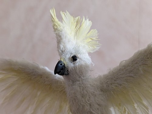 有趣的小狗屋 Cockatoo, Yellow-crested cockatoo, bird. White -5,5 cm