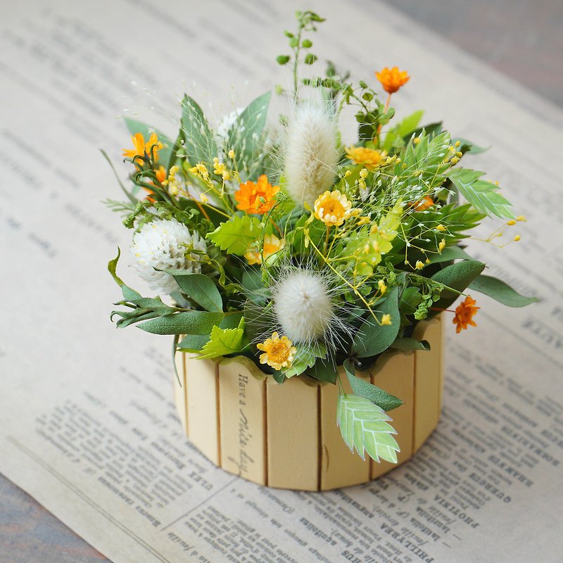 Zakka Day Miscellaneous Wind / Green Grass Green Table Flower - Dried Flowers & Bouquets - Plants & Flowers 