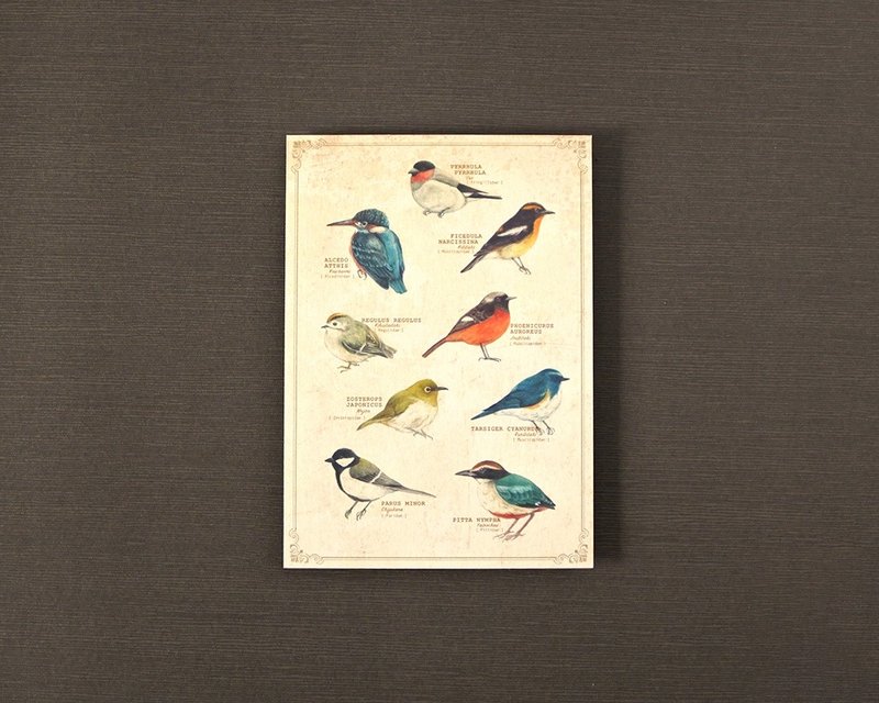 Wild bird picture book style postcard - Cards & Postcards - Paper 