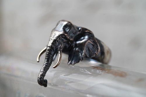 794729metalwork 金牙大象戒指