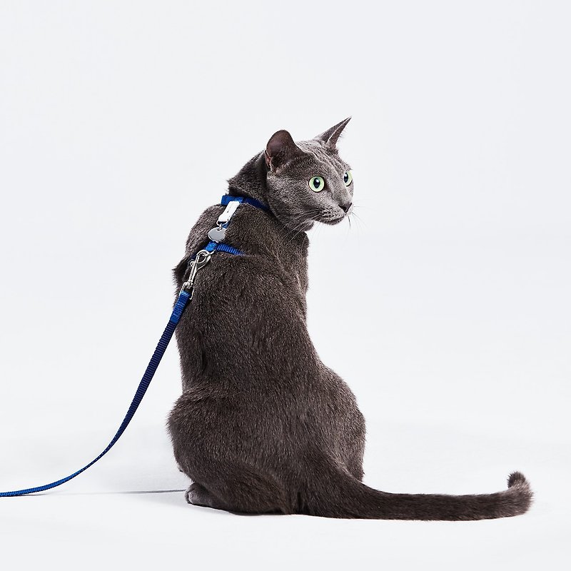 [tails&me x APUJAN] Black Dot Cat Leash—Grey/Blue - Collars & Leashes - Nylon Multicolor