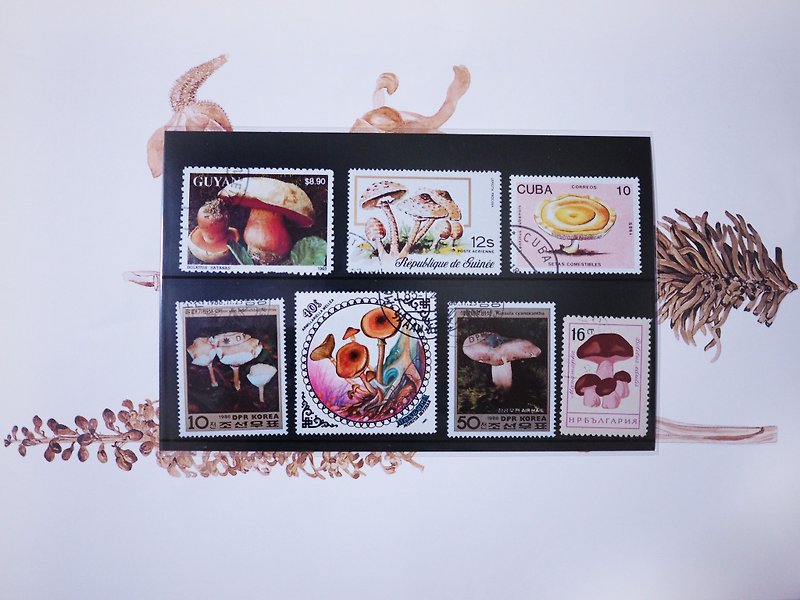 世界各地的復古蘑菇郵票 - 其他 - 紙 