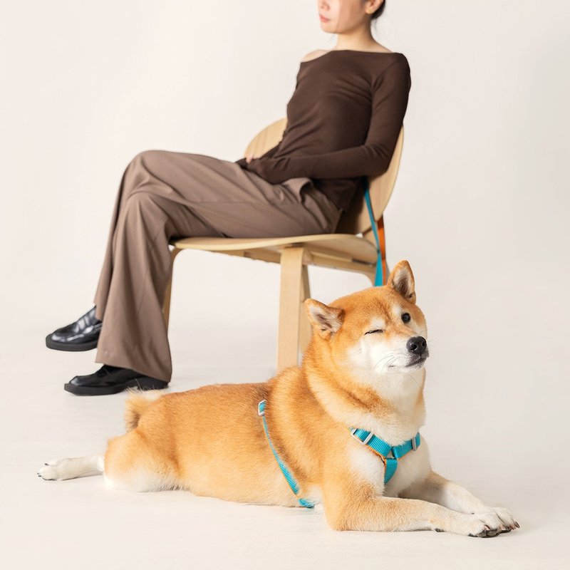 【tails&me 尾巴與我】新經典系列 犬H型胸背帶(雙色 共6色) - 項圈/牽繩 - 尼龍 多色