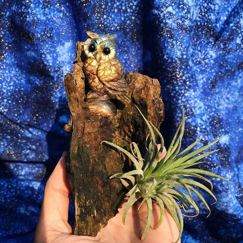 [Lost and find] Owl potted plants on natural stone labradorite - ตกแต่งต้นไม้ - เครื่องเพชรพลอย หลากหลายสี