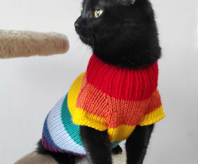 Rainbow shops cat sweater