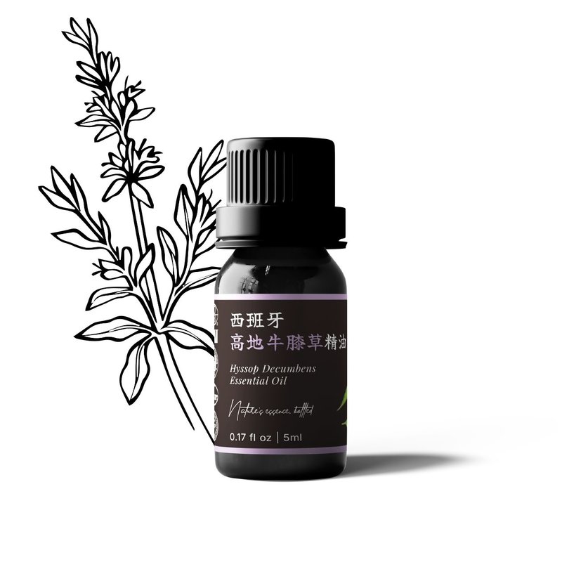 【卡佛香】西班牙高地牛膝草精油 - 香氛/精油/擴香 - 玻璃 黑色