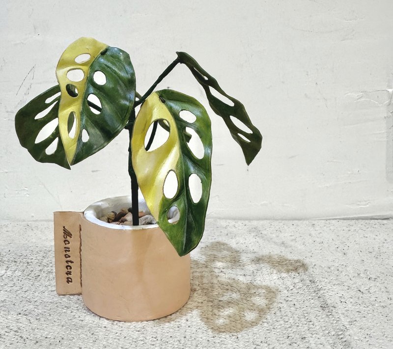 斑葉窗孔龜背芋皮革小品 - 盆栽/植栽 - 真皮 