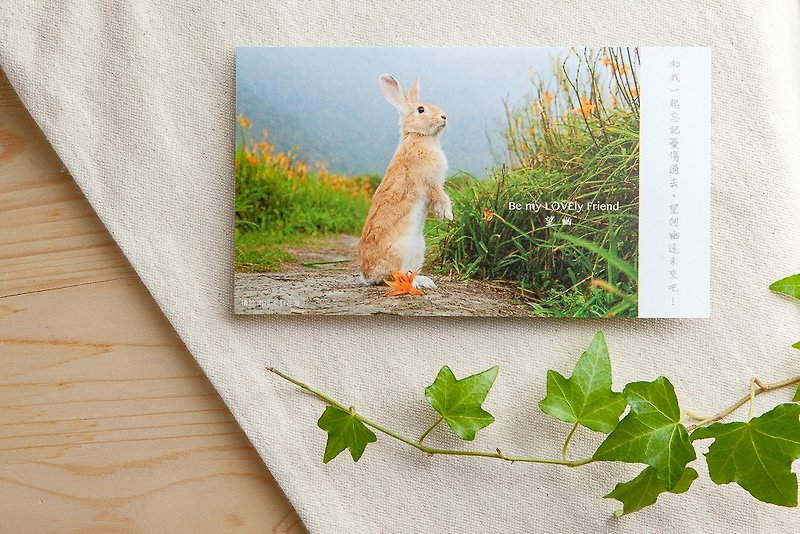 兔子攝影插畫明信片 - 望幽 - 心意卡/卡片 - 紙 橘色
