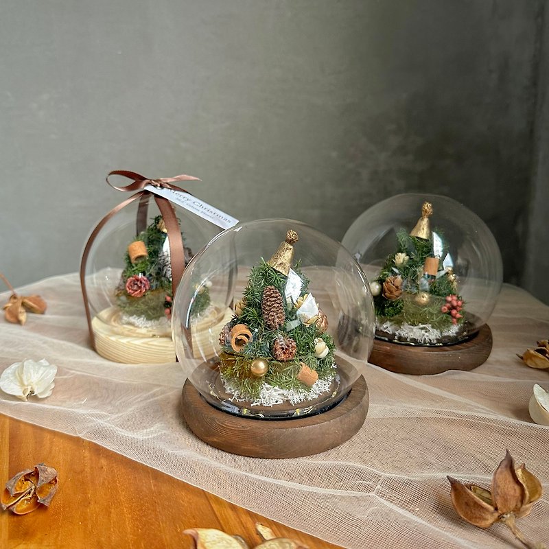永生雪松 小聖誕樹球盅 小夜燈 - 乾燥花/永生花 - 植物．花 綠色