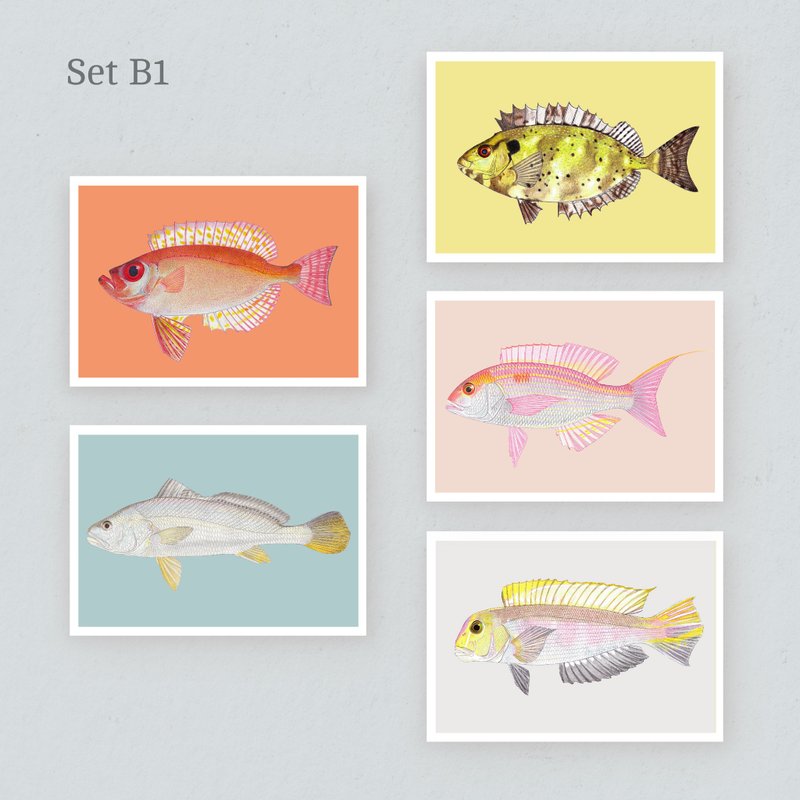 【Hong Kong Saltwater Fish】Postcard Set B - Cards & Postcards - Paper 