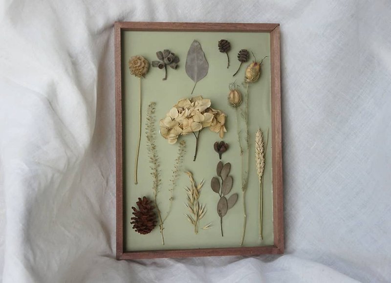 乾燥花 標本 相框 - 畫框/相架  - 植物．花 綠色