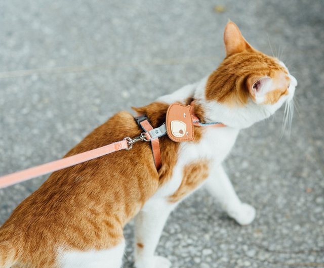 Cat baby outlet harness