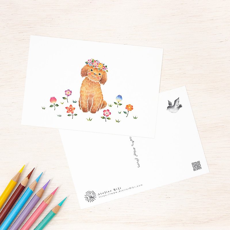 5枚セット。絵本のような。ポストカード "花を飾った子犬のチコ" PC-312 - 心意卡/卡片 - 紙 咖啡色