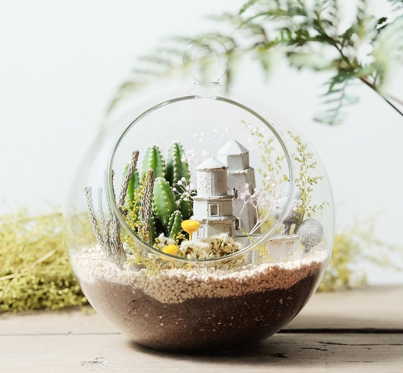 岩石系玻璃微景-城塔多肉盆栽材料包   Succulents potted - 植物/盆栽/盆景 - 玻璃 灰色