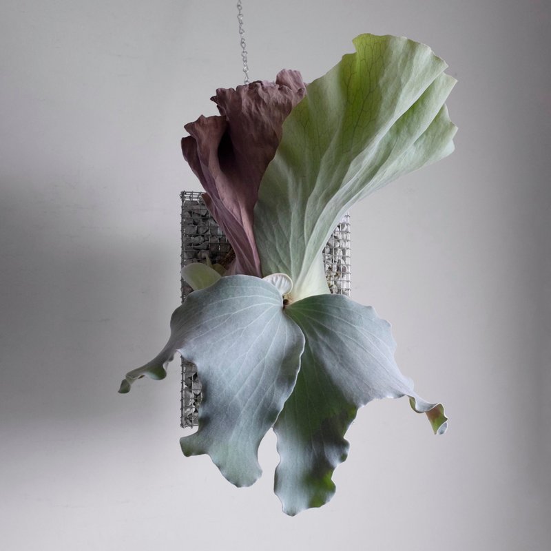 蛇籠板 長方形 - XL size - 盆栽/植栽 - 其他金屬 白色