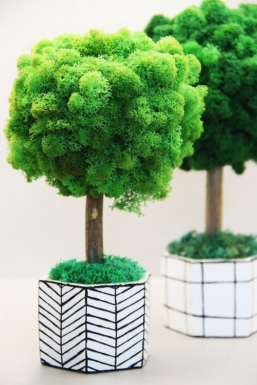 HWAN Art Gallery Art Decor Style Minimalistic Table Decorations with Moss Arrangements