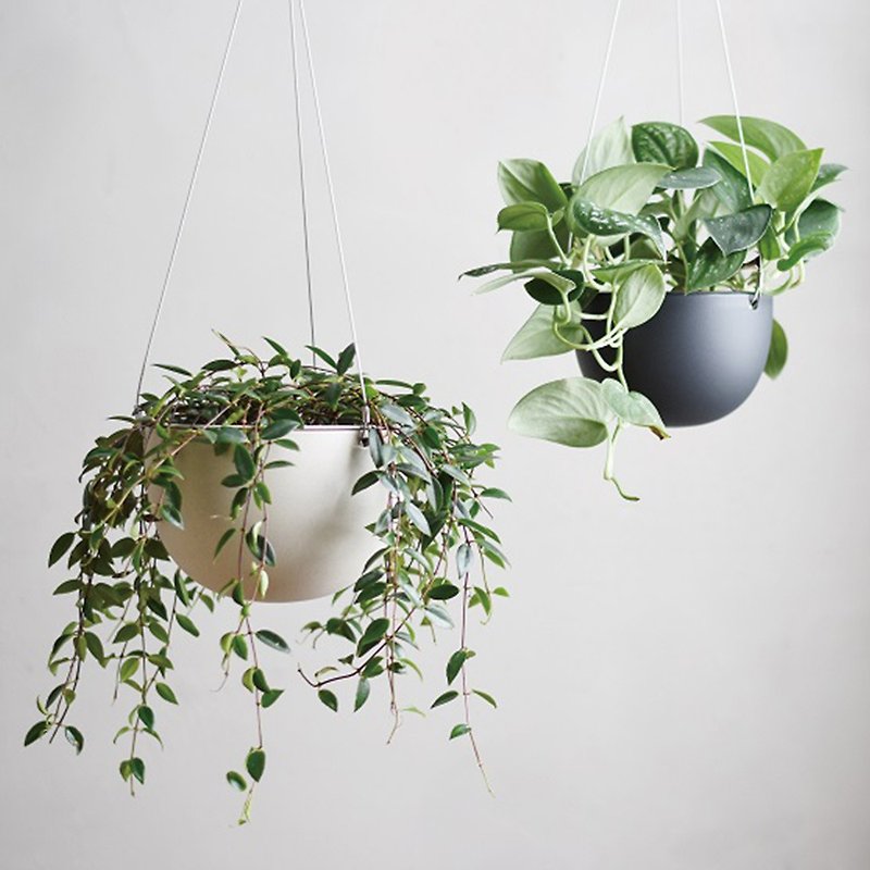 Japan KINTO PLANT POT Potted Plant Hanging Basket / Total 2 Colors / 14cm / 17.4cm - เซรามิก - แก้ว สีใส