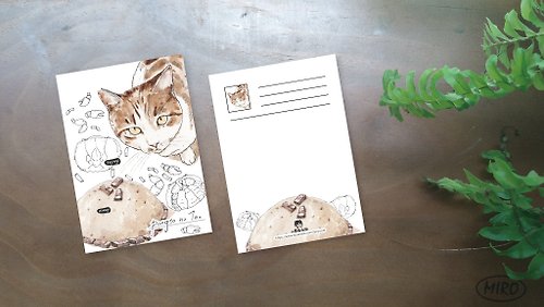 小島畫畫課 小島畫畫課蘭嶼貓與風味餐明信片02款