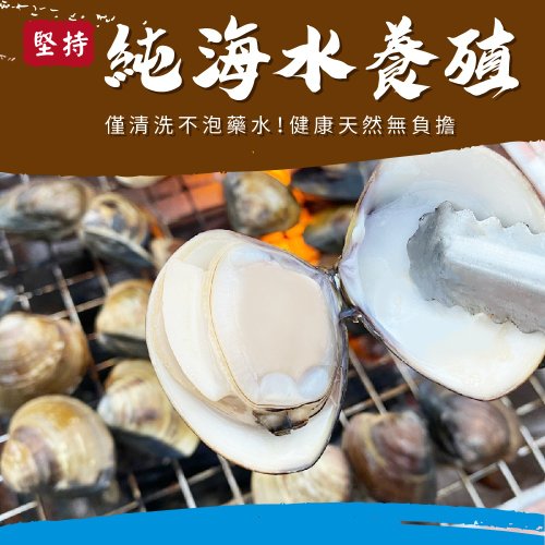 真匯吃 【好美農漁產】臺灣嘉義產地直送特大蛤蜊5袋免運組(冷藏)