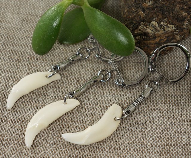 本物のオオカミの牙 キーホルダー。ホワイトウルフの牙。魔除けの