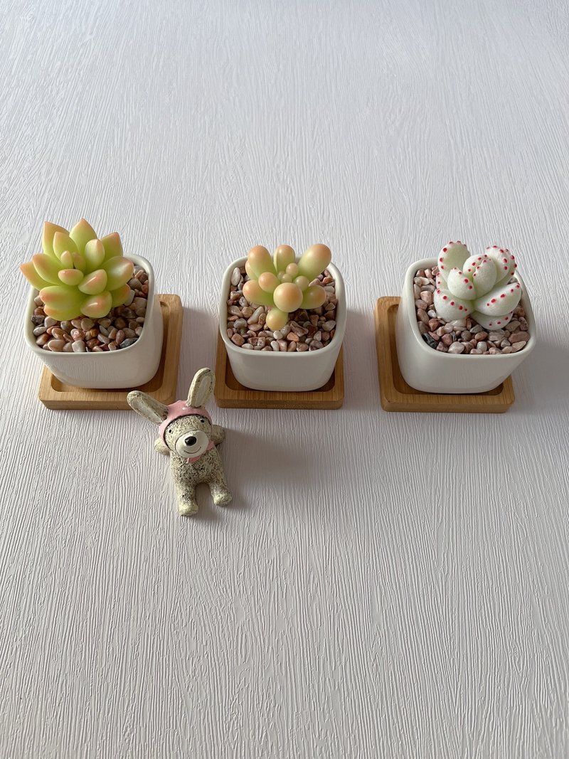 [Simulated clay succulents] Made to order_Single pot small succulents 3 included_Square small white pot style 1 - Plants - Clay Multicolor