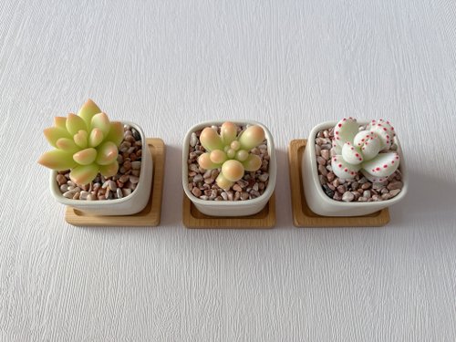 No223 moco商品 　三角お屋根4段多肉植物棚White No223 moco様専用商品 三角お屋根4段多肉植物棚White