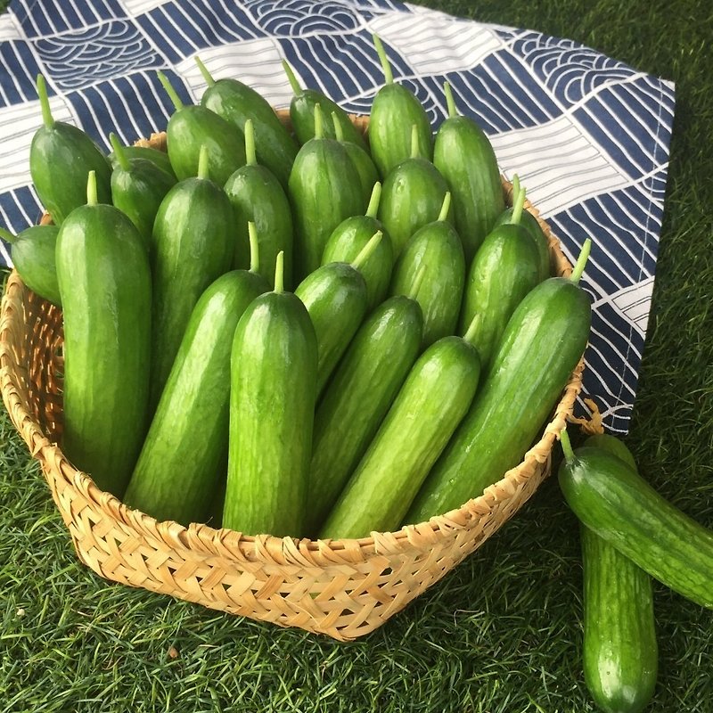 [Yuanxian Smart Farm-TERRA Selected] Fruit Cucumber-450g/pack - Other - Fresh Ingredients 