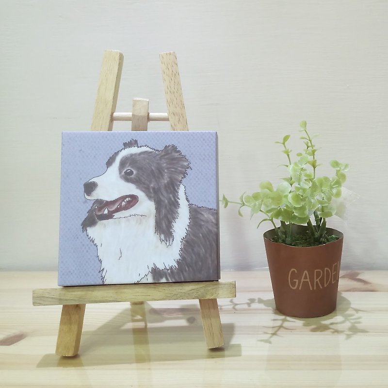 Small Picture Frame-Lightweight Frameless Picture-Border Collie - Posters - Plastic 