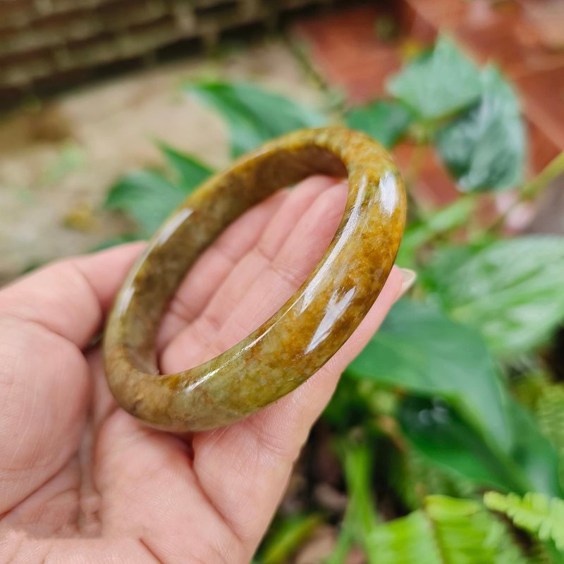 Burmese Honey Jade Bangle Genuine Very Beautiful Type A Good Texture 57.3 mm - Bracelets - Jade Brown