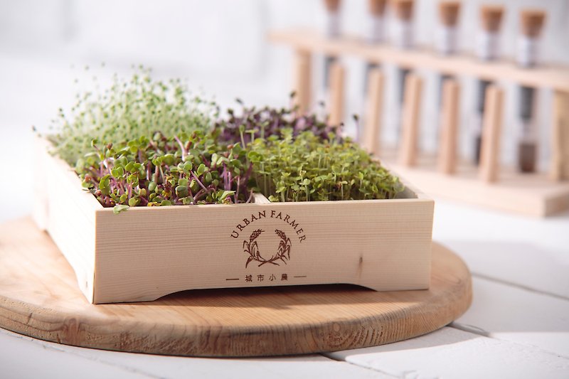 Microgreens Farm - Plants - Wood Khaki