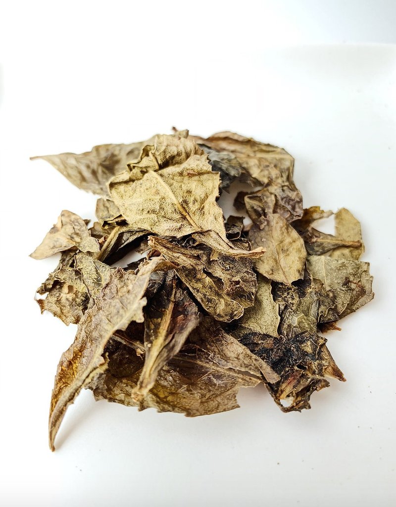 阿波晚茶 - 茶葉/茶包 - 其他材質 