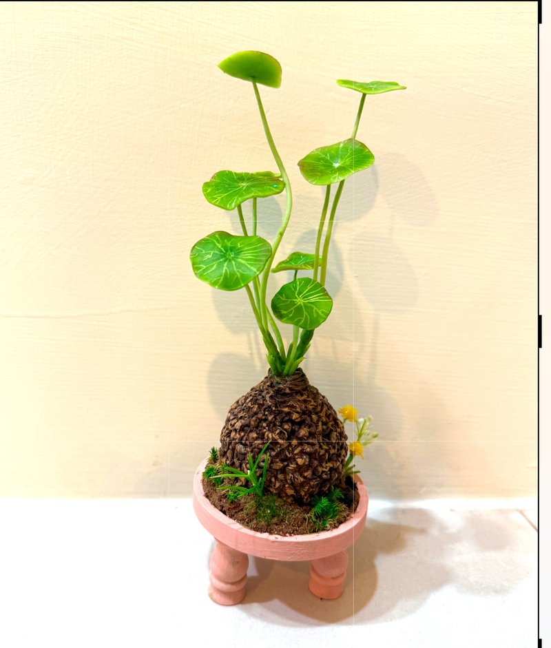 圓葉山烏龜 - 擺飾/家飾品 - 黏土 