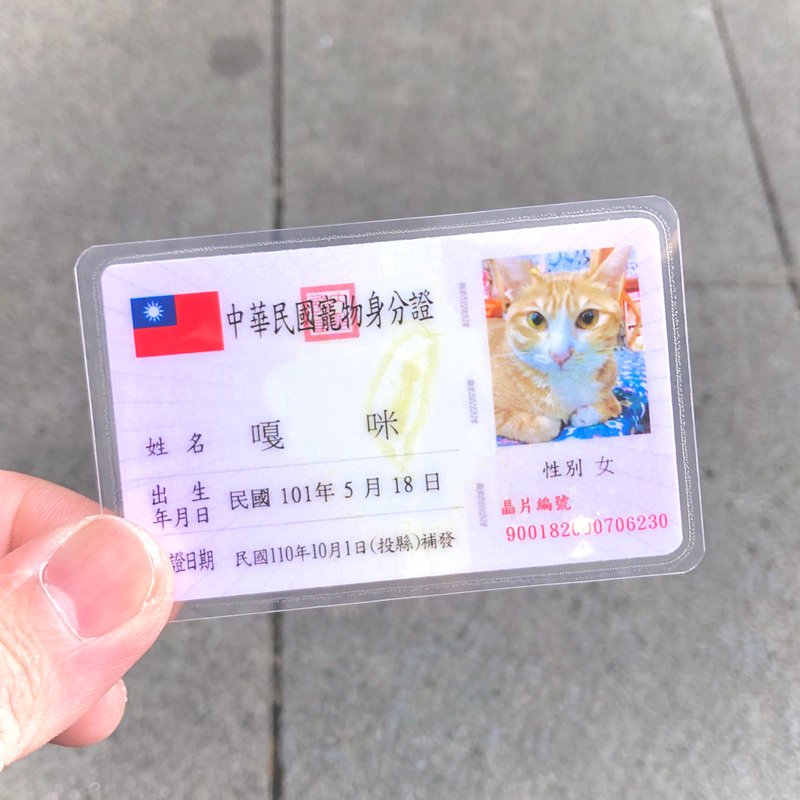 [Limited time offer] Pet ID card (customized commemorative product) - อื่นๆ - กระดาษ หลากหลายสี