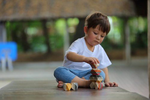 TomaliBoutique 朶玫黎母嬰用品玩具嚴選 泰國Plantoys 幾何堆疊魔法石商檢字號 M74086
