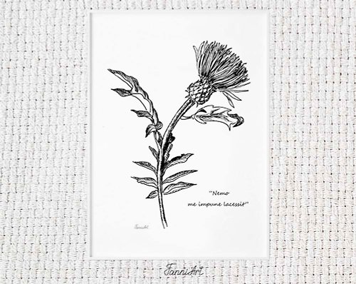 FanniArtDesign Thistle flower_The inscription _No one provokes me with impunity_in Latin
