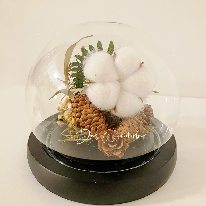 (L) Crystal Ball - Kapok - Plants - Glass White