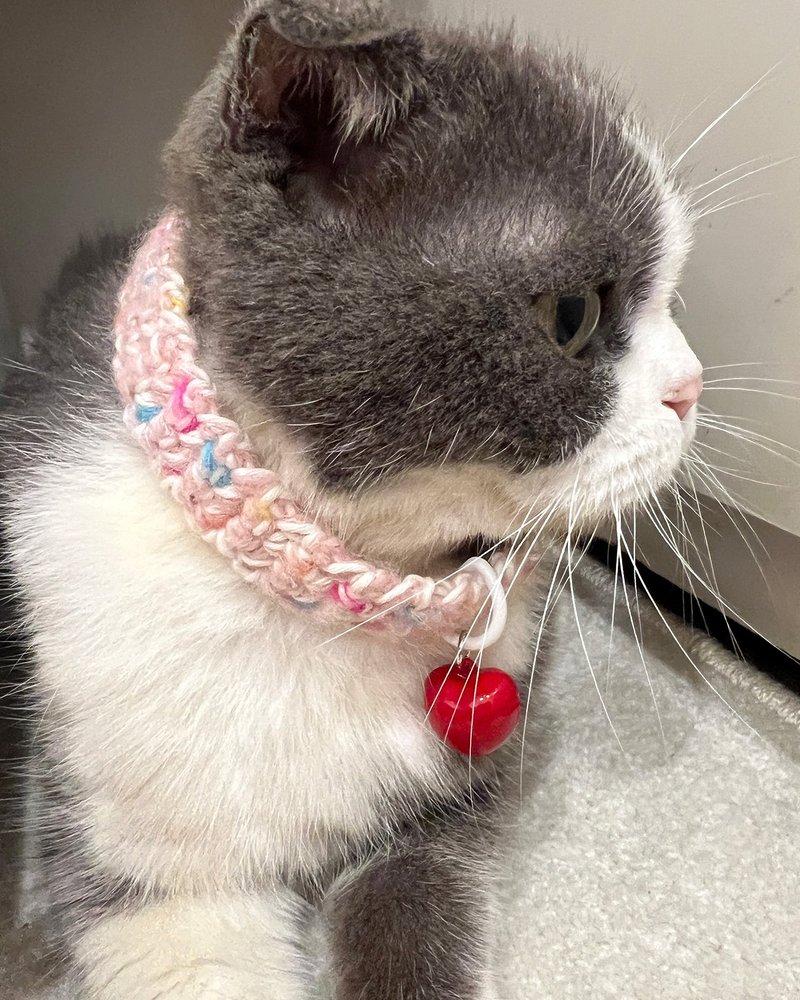 [Bell + Safety Buckle] Wool Cherry Blossom Pink + Red Sweetheart Bell - Handmade Cat Collar/Wool/Safety Necklace - Collars & Leashes - Wool 