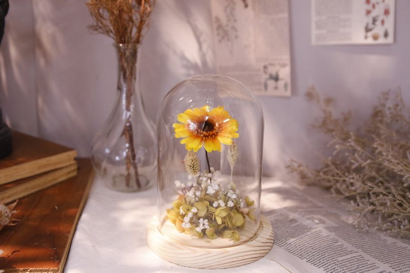 Graduation Season Special_Sunflower Everlasting Flower Cup - ช่อดอกไม้แห้ง - พืช/ดอกไม้ สีเหลือง