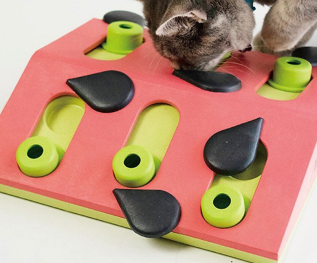 Nina Ottosson Melon Madness Puzzle & Play Cat Toy